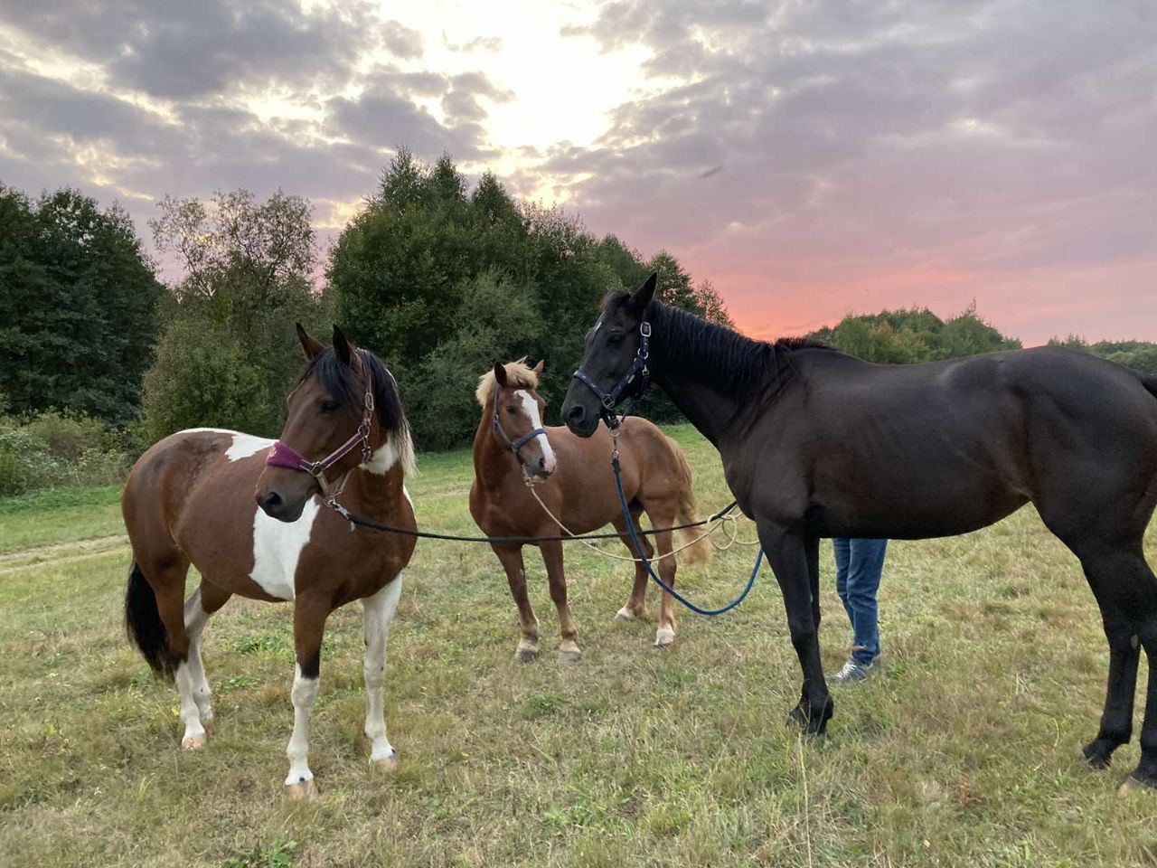 Фото Сказочная страна Маливур