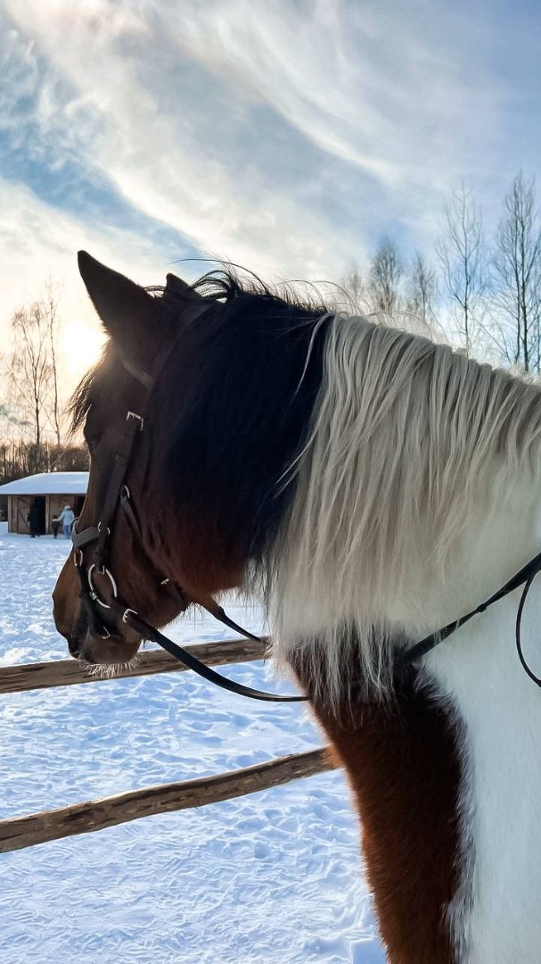 Фото Сказочная страна Маливур