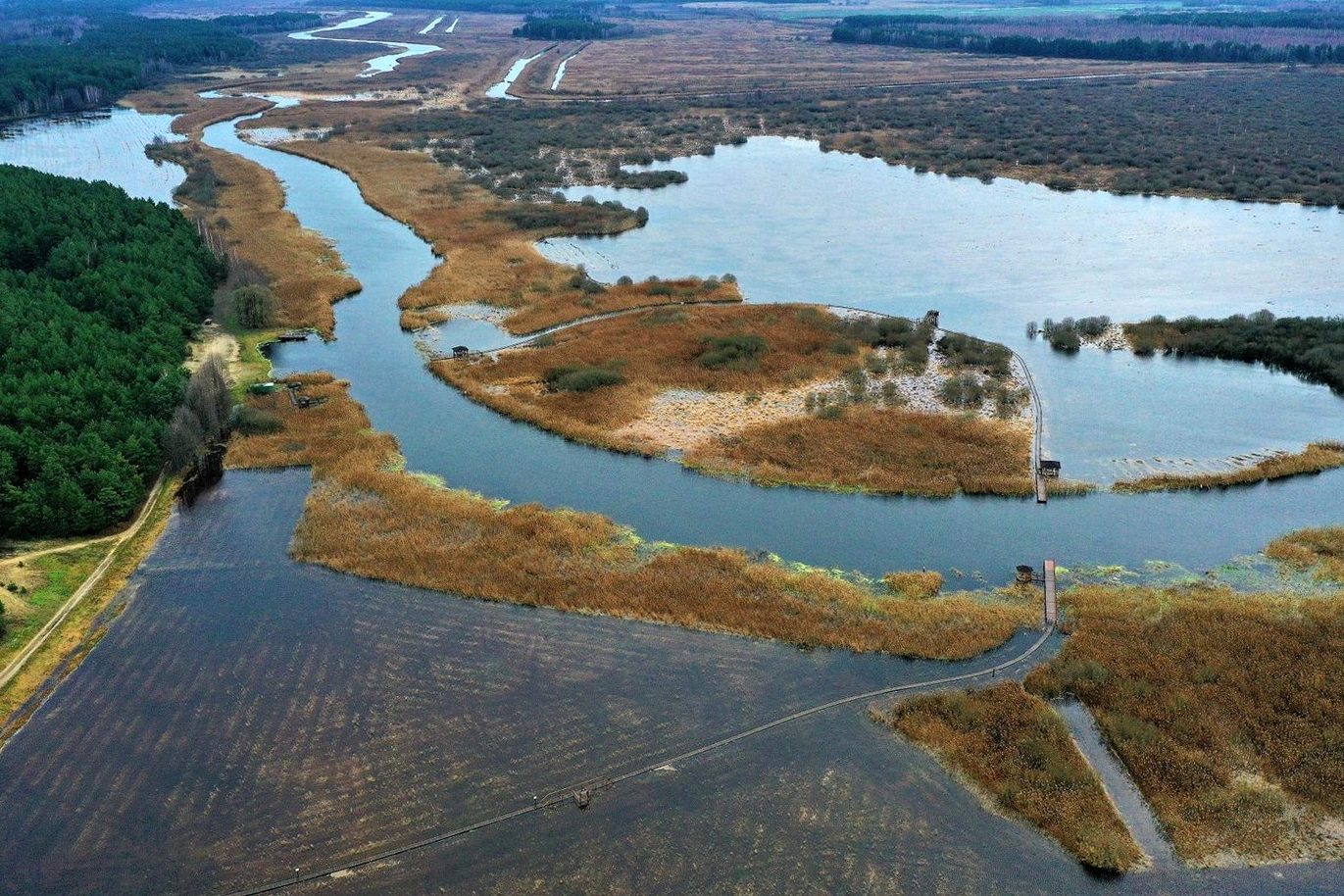 Фото Республиканский биологический заказник "Споровский"