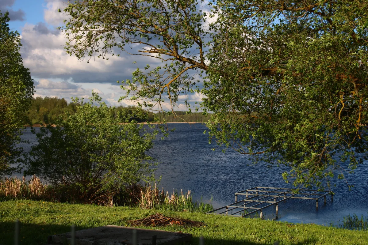 Фото объявления 125