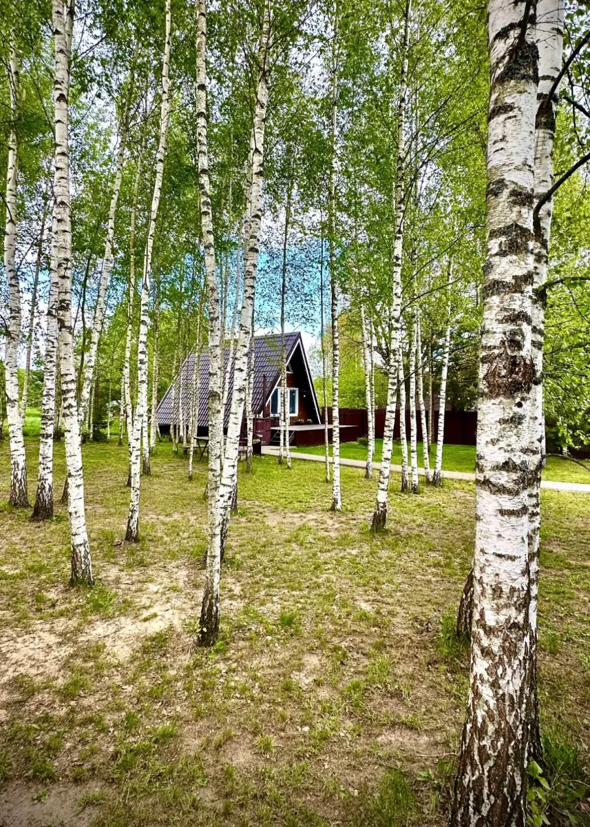 Фото объявления 132