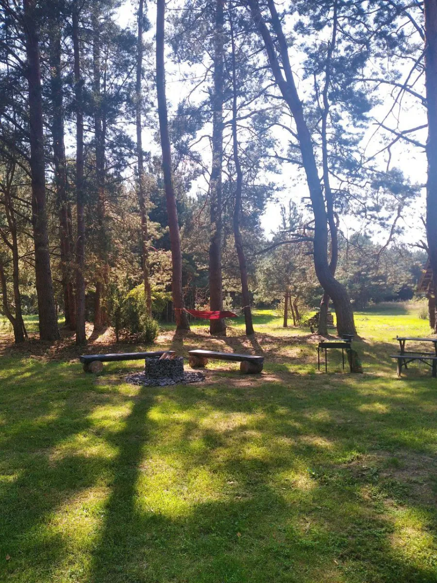 Фото объявления 140