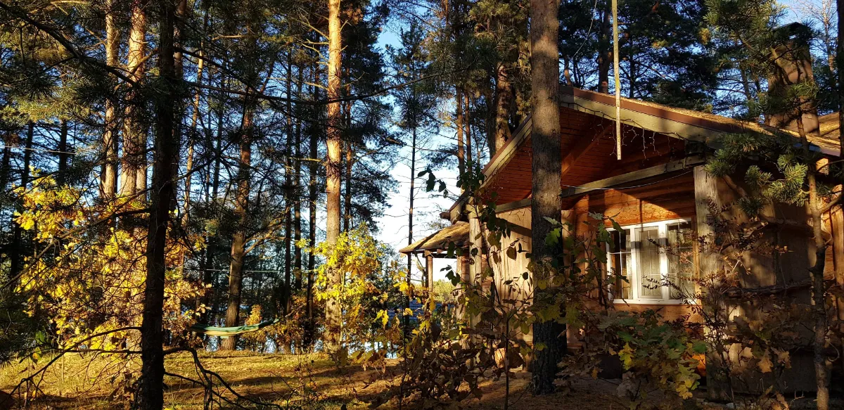 Фото объявления 158