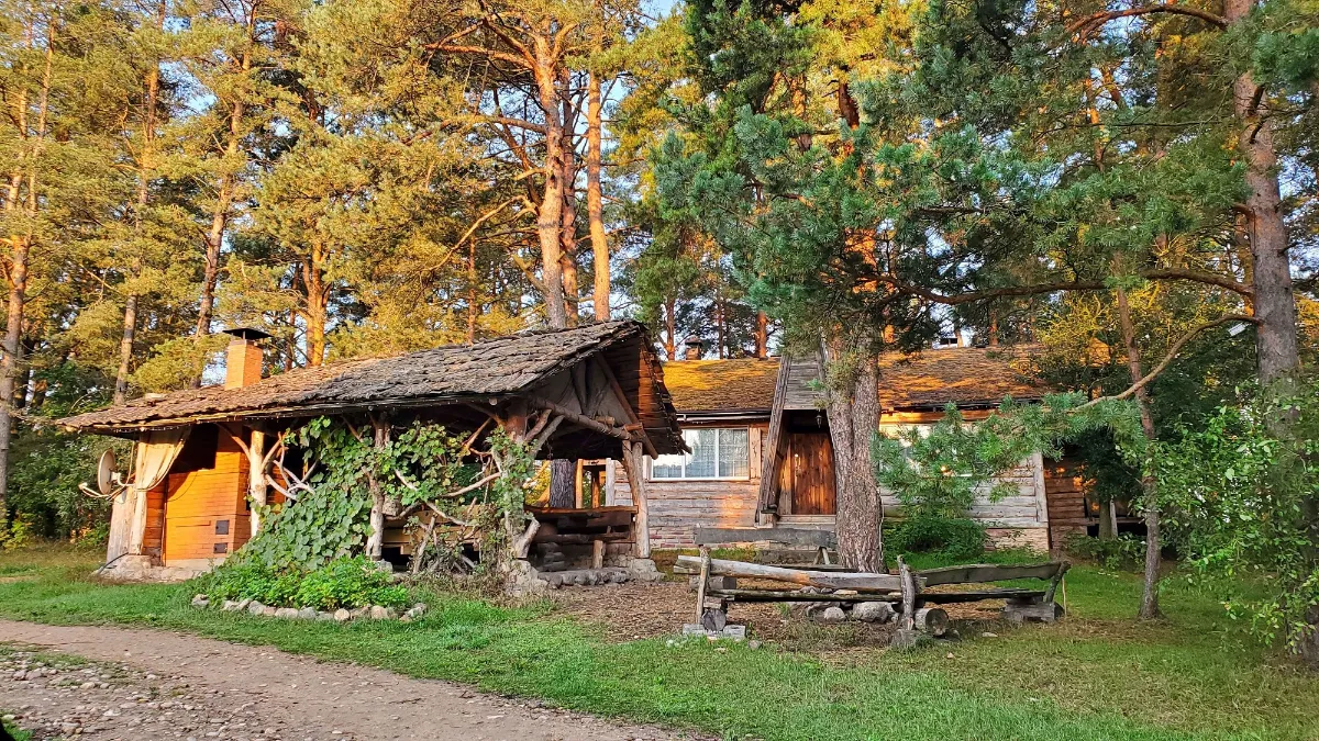 Фото объявления 155