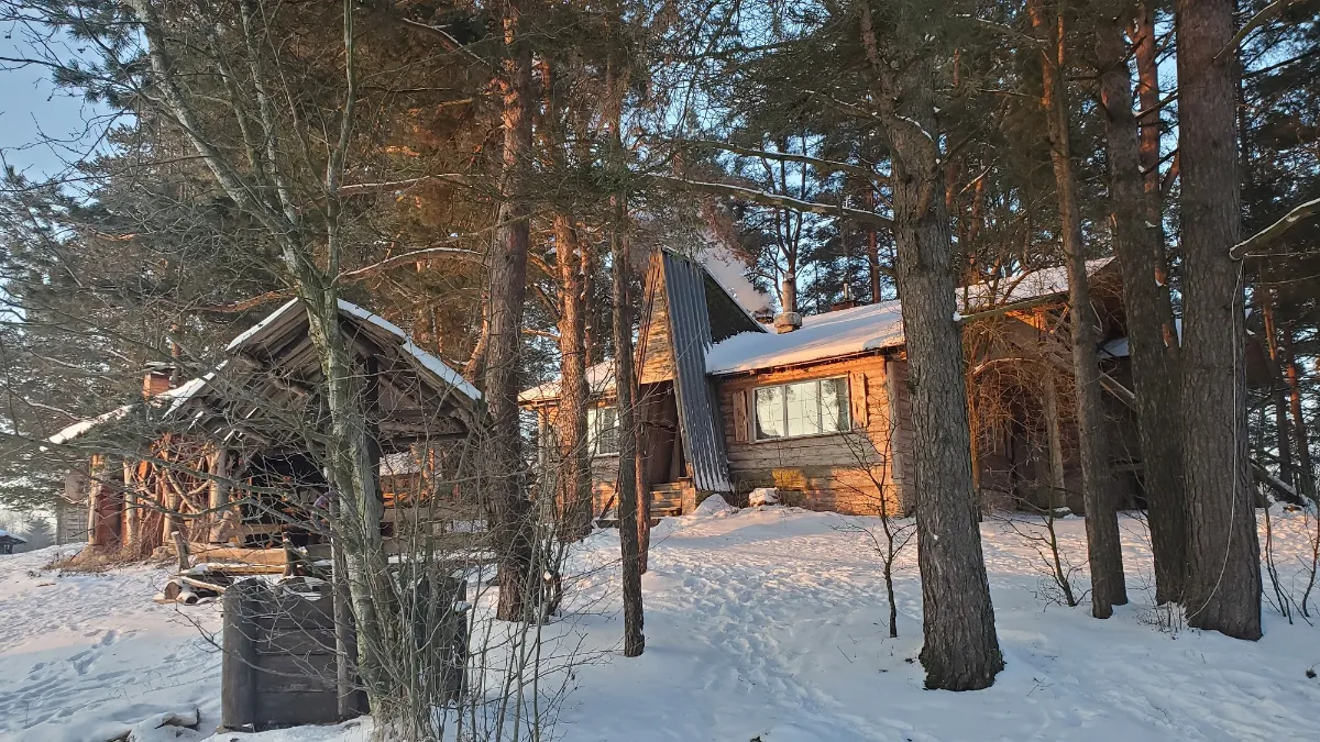 Фото объявления 155