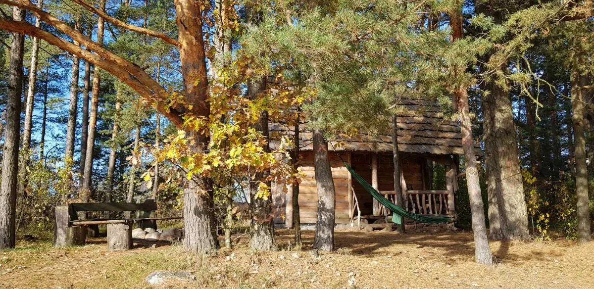 Фото объявления 156