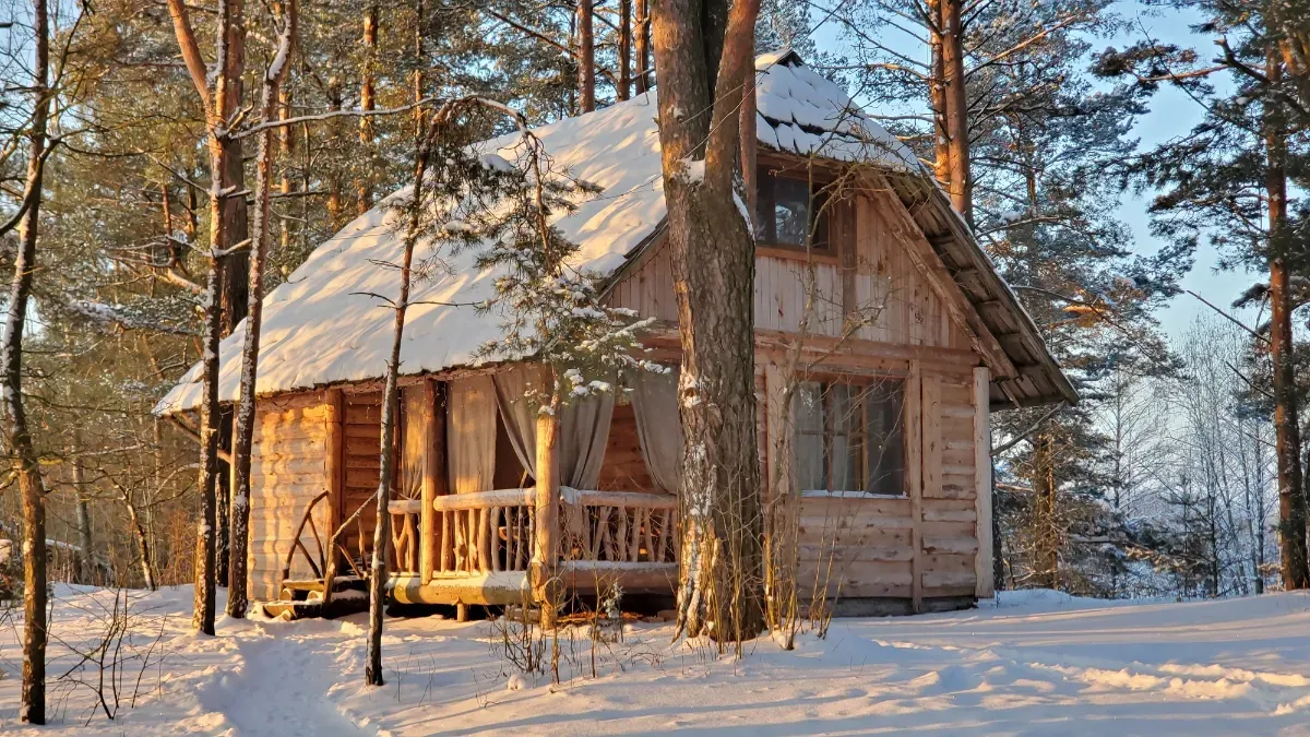 Фото объявления 156