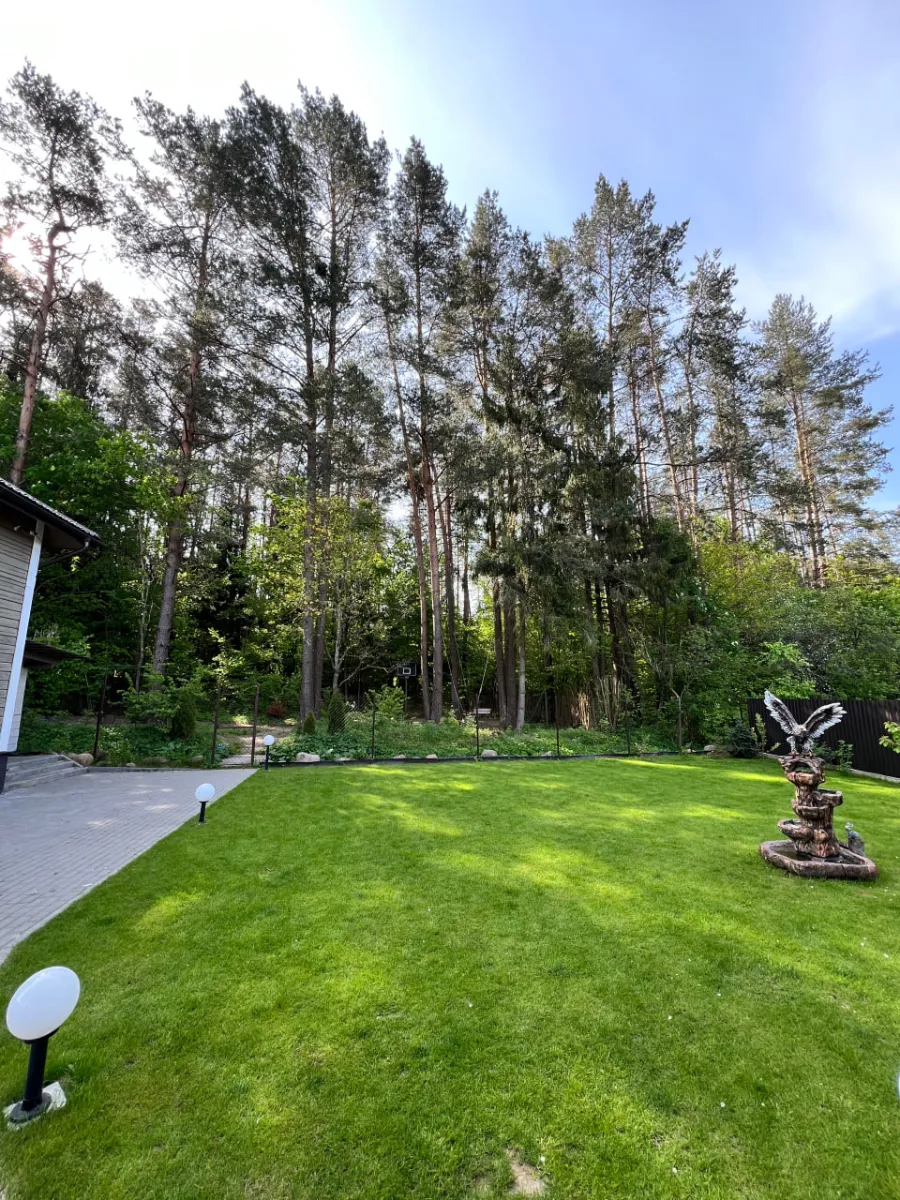 Фото объявления 163