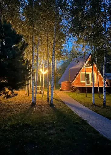 Три лисы №2